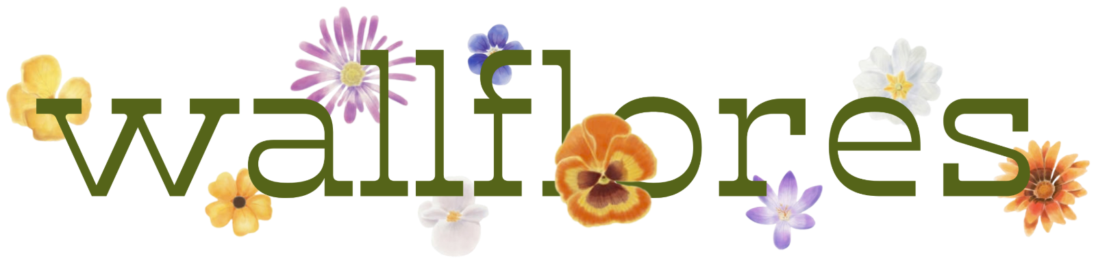 Wallflores